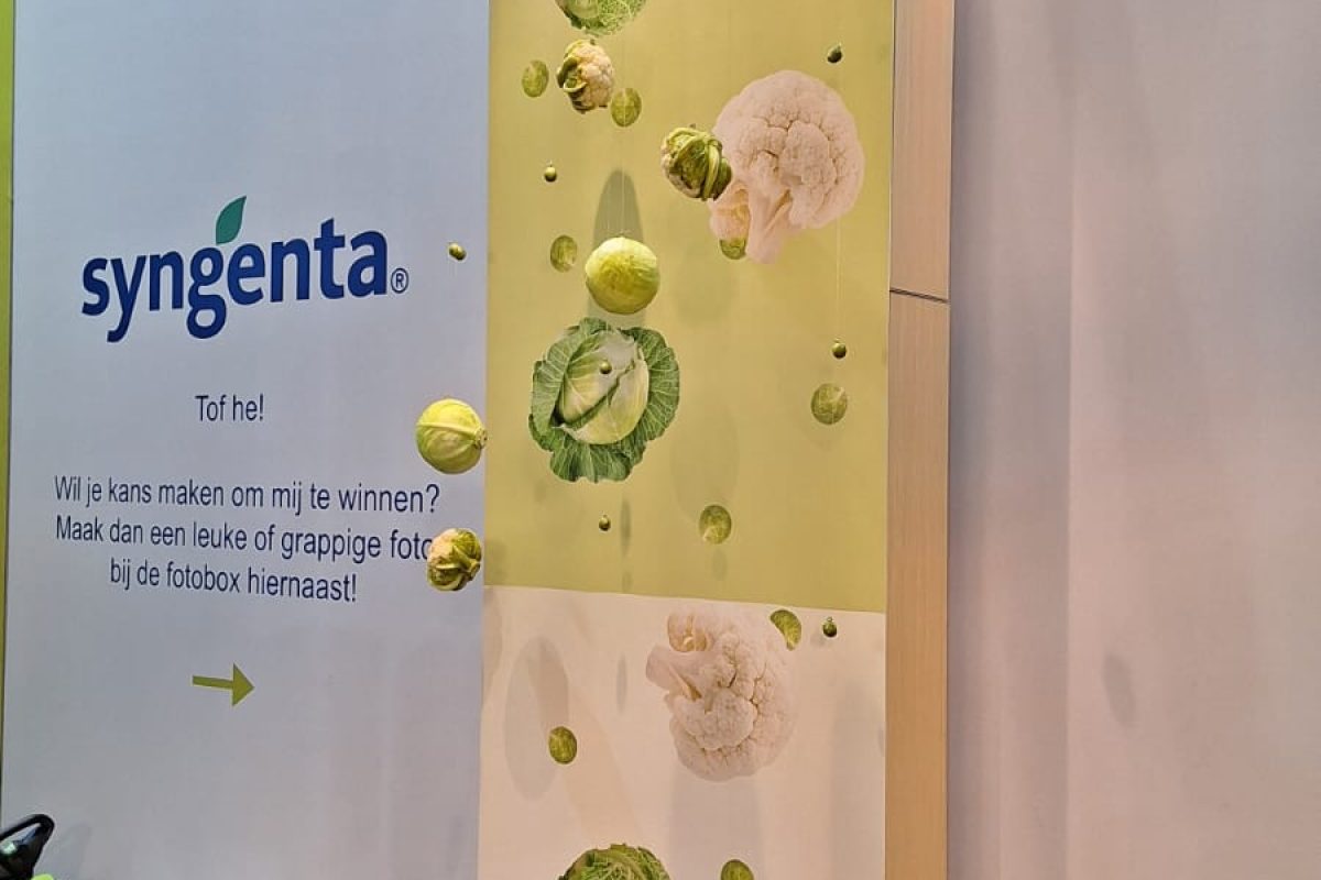 Syngenta Agro Expo 2024 (6)